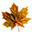 Autumn Time Screensaver icon