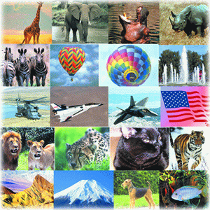 AltixSoft CD - Screensavers - Full Versions