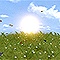 Go To Animated Screensavers Area